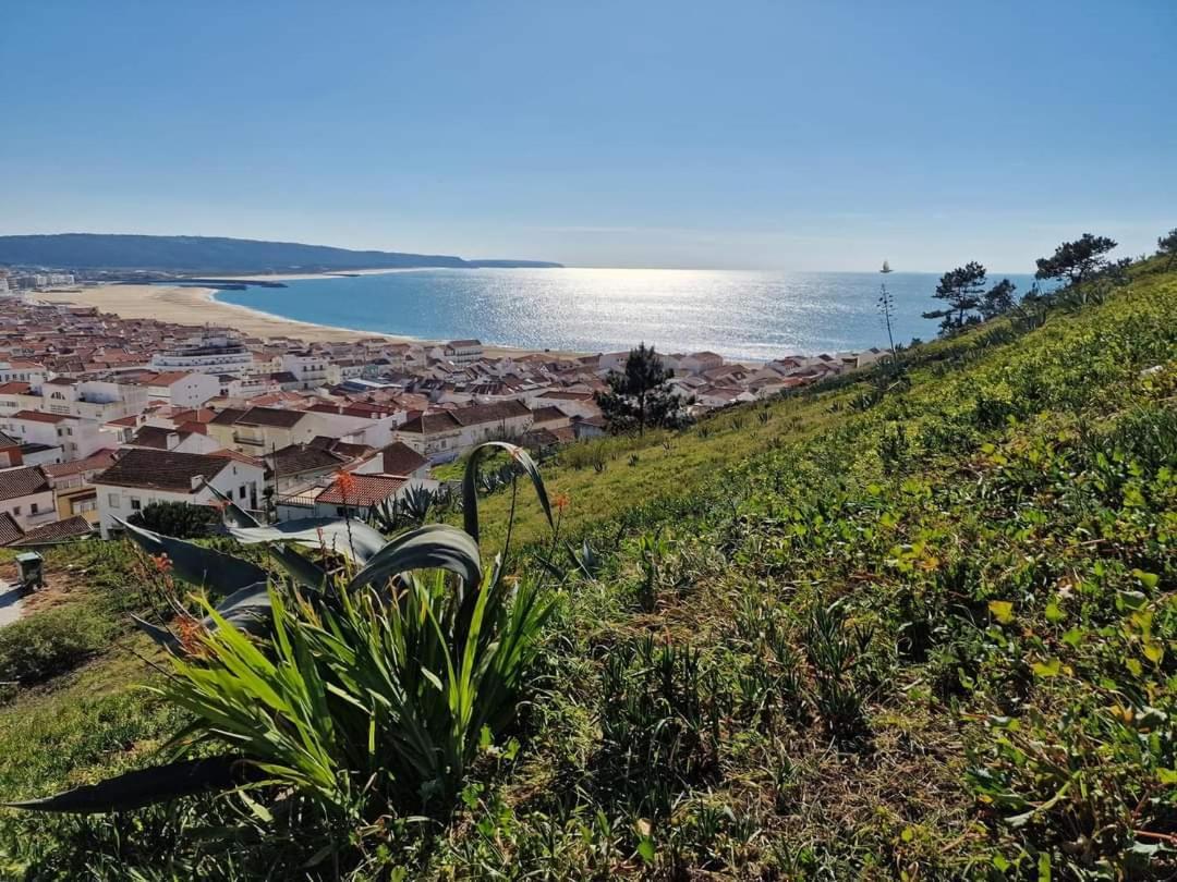 Lucas House Villa Nazaré Exterior photo